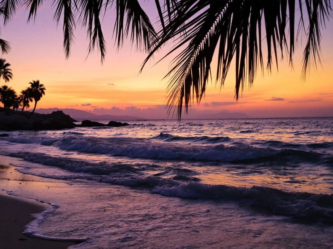 Greece beach sunset with palm trees and waves.