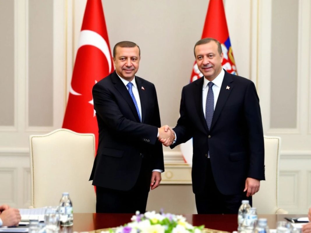 Erdogan and Serbian officials shaking hands during a meeting.