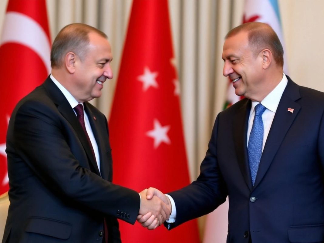 President Erdoğan shaking hands with leaders in Albania and Serbia.