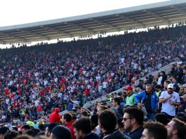 Football fans in stadium before Macedonia vs. England match.