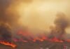 Smoke billows from hillsides ablaze in Montenegro.